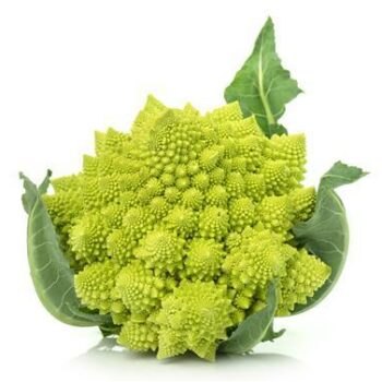 Groenten - Fruit -Verse kruiden,